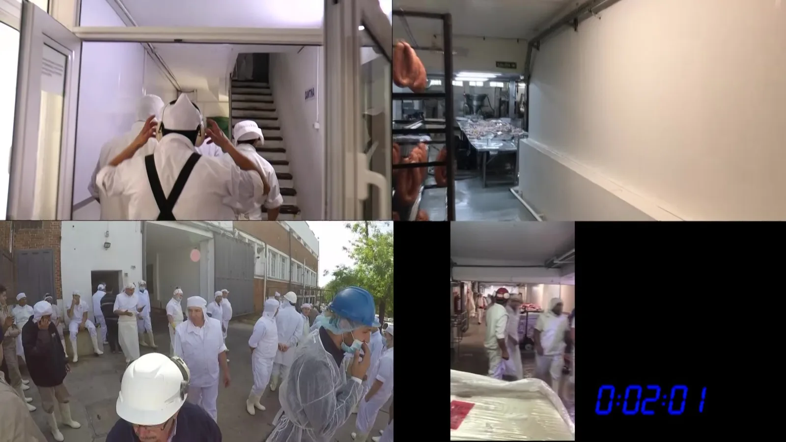 Registro de un simulacro de evacuación de GT Solutions con escenas de desarrollo y observación de la respuesta
